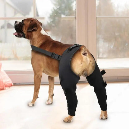 Dog Rear Leg Support Joint Wrap for Dogs Legs Recovery - DailyBasicNeeds.com