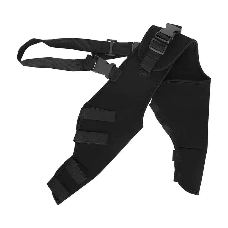 Dog Rear Leg Support Joint Wrap for Dogs Legs Recovery - DailyBasicNeeds.com