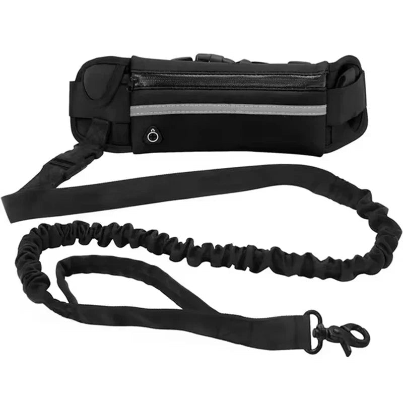 Hands Free Dog Leash for Running or Walking - DailyBasicNeeds.com