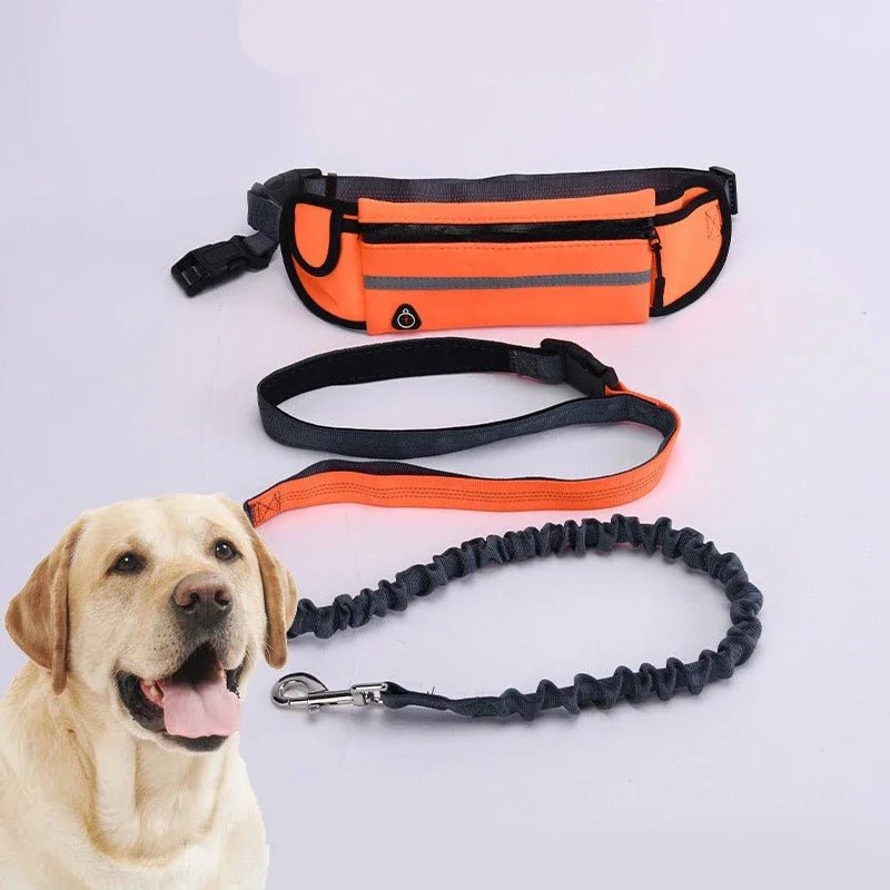 Hands Free Dog Leash for Running or Walking - DailyBasicNeeds.com