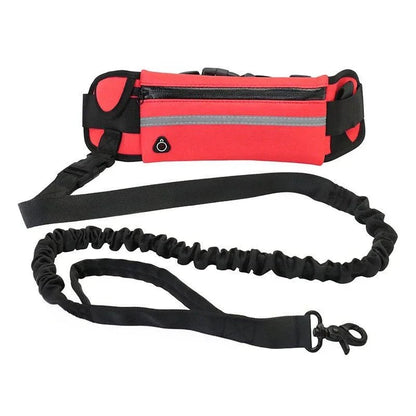 Hands Free Dog Leash for Running or Walking - DailyBasicNeeds.com