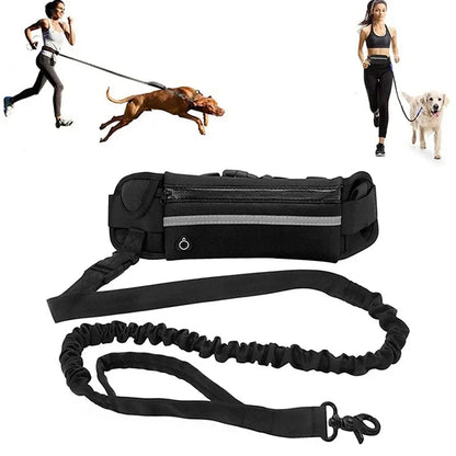 Hands Free Dog Leash for Running or Walking - DailyBasicNeeds.com