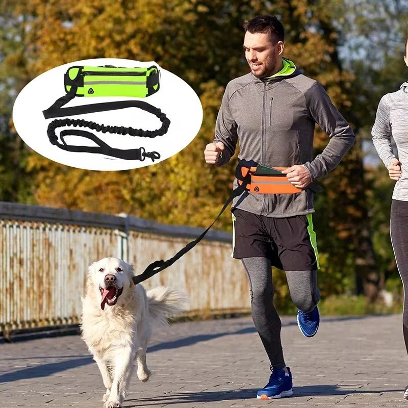 Hands Free Dog Leash for Running or Walking - DailyBasicNeeds.com