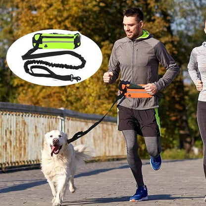 Hands Free Dog Leash for Running or Walking - DailyBasicNeeds.com