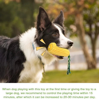 Indestructible Dog Chew Toy - DailyBasicNeeds.com