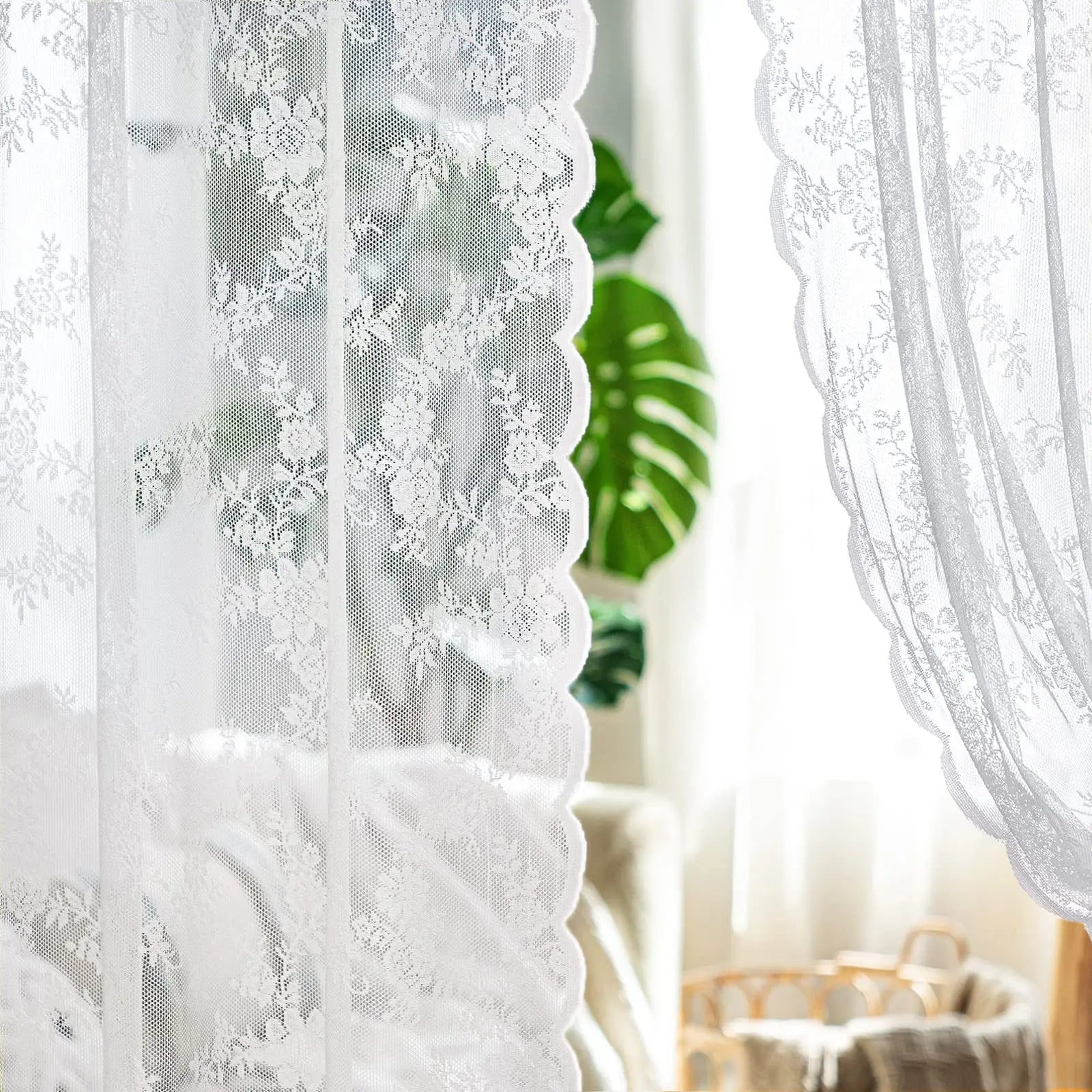 Lace Curtain - DailyBasicNeeds.com