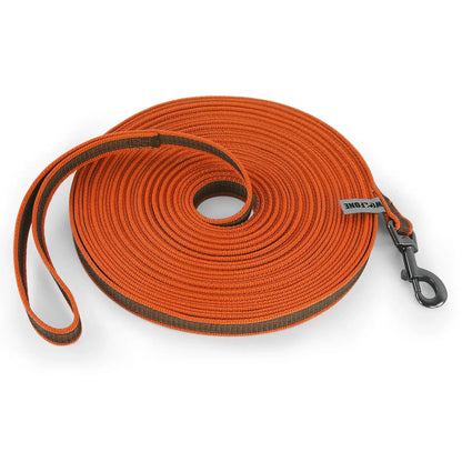 Long Dog Leash Easy and Convenient for Light Training - DailyBasicNeeds.com