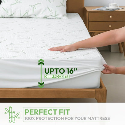 Mattress Protector - DailyBasicNeeds.com