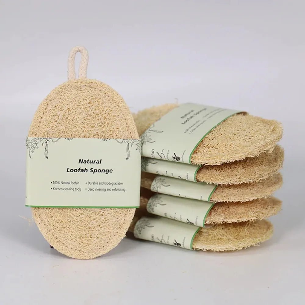 Natural Luffa Sponge for Dishes - DailyBasicNeeds.com