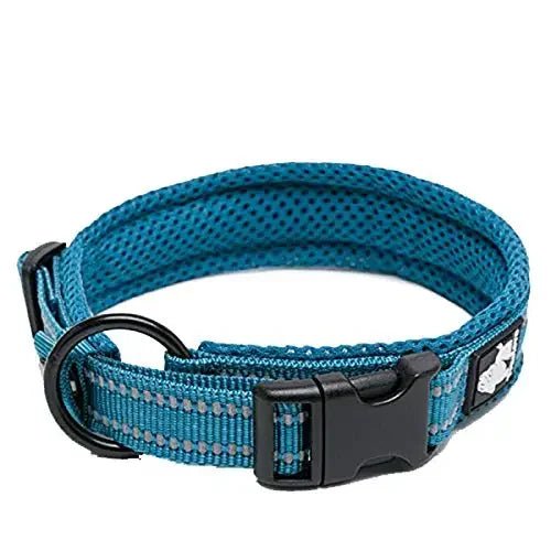 Pet Dog Collar - DailyBasicNeeds.com