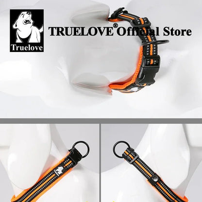 Pet Dog Collar - DailyBasicNeeds.com
