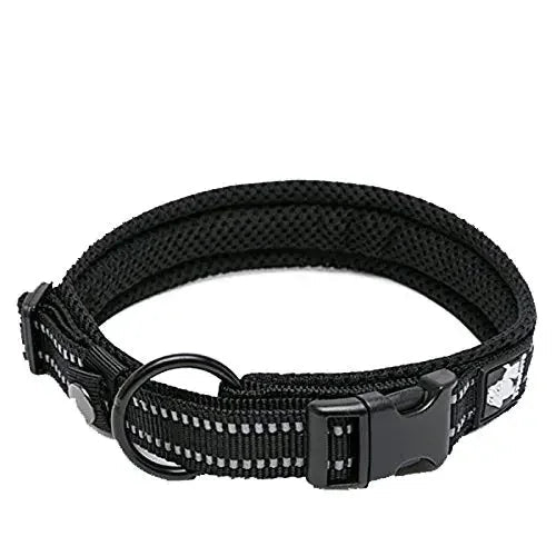 Pet Dog Collar - DailyBasicNeeds.com