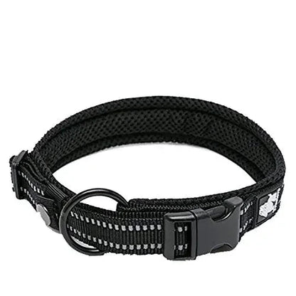 Pet Dog Collar - DailyBasicNeeds.com