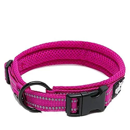 Pet Dog Collar - DailyBasicNeeds.com