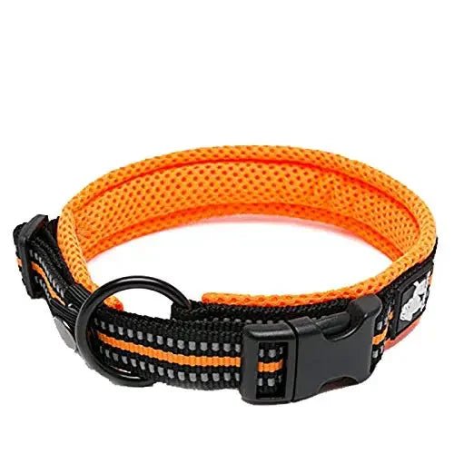 Pet Dog Collar - DailyBasicNeeds.com