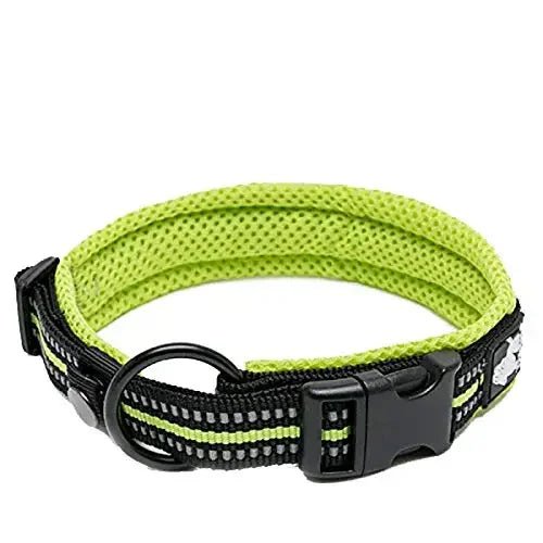 Pet Dog Collar - DailyBasicNeeds.com