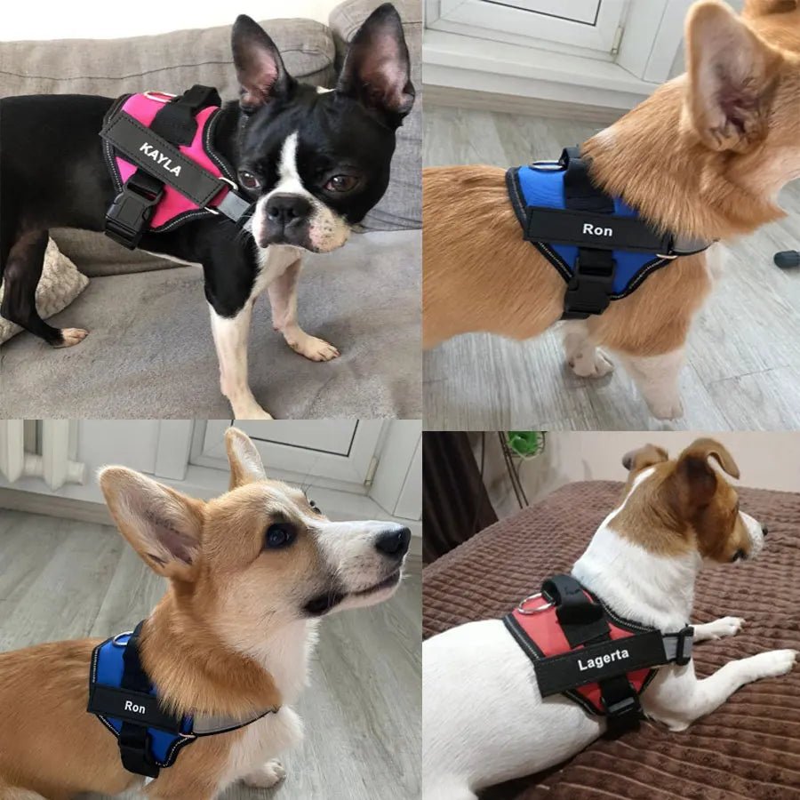 Reflective Dog Harness - DailyBasicNeeds.com