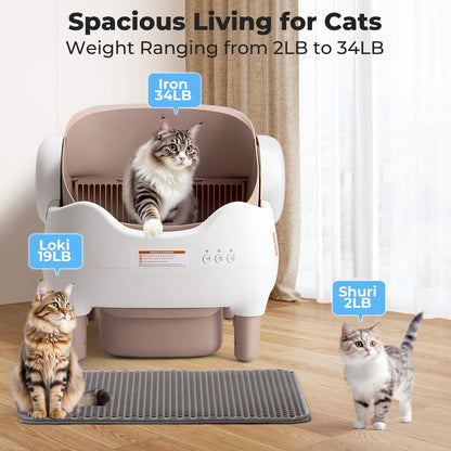 Self Cleaning Litter Box - DailyBasicNeeds.com