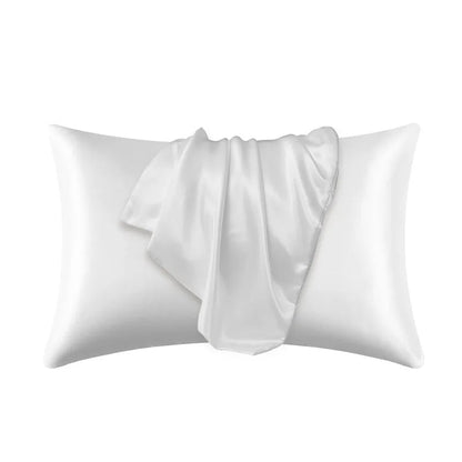 Silk Pillowcase Pillow Cover - DailyBasicNeeds.com
