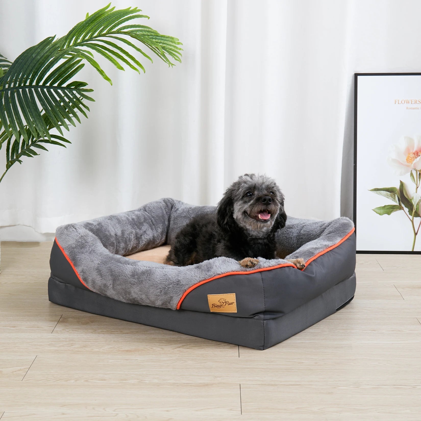 Super Soft Orthopedic Foam Pet Bed - DailyBasicNeeds.com