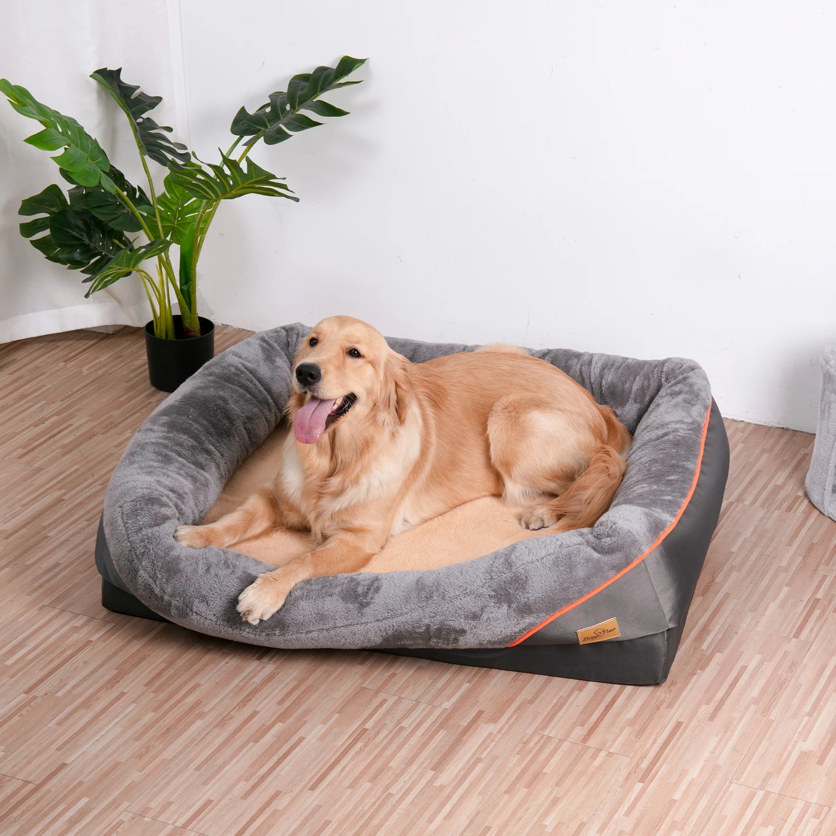 Super Soft Orthopedic Foam Pet Bed - DailyBasicNeeds.com